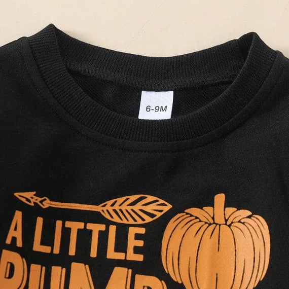 Long Sleeve Spice Pumpkin Toddler Set