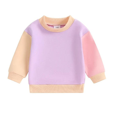 Color Block Baby Sweatshirt Purple 3-6 M