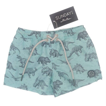 Sunday & Co. Jurassic Dinosaur Swim Trunks 3-6 M