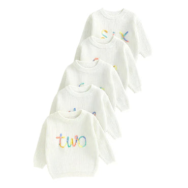 Birthday Rainbow Embroidery Toddler Sweater