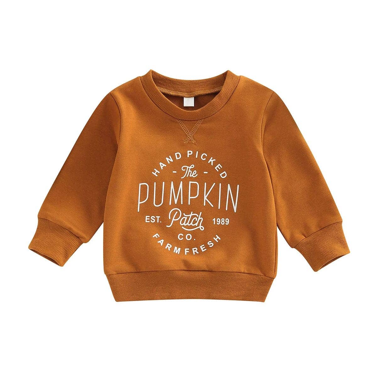 Pumpkin Toddler Sweatshirt