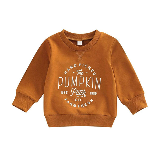 Pumpkin Toddler Sweatshirt