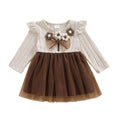 Long Sleeve Floral Tulle Toddler Dress