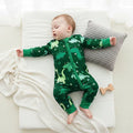 Long Sleeve Dino Zipped Baby Jumpsuit