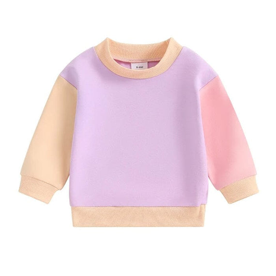 Color Block Baby Sweatshirt Purple 3-6 M 