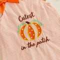 Cutest In The Patch Striped Toddler Dress Dresses The Trendy Toddlers 