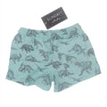 Sunday & Co. Jurassic Dinosaur Swim Trunks   