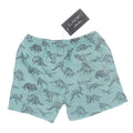 Sunday & Co. Jurassic Dinosaur Swim Trunks   