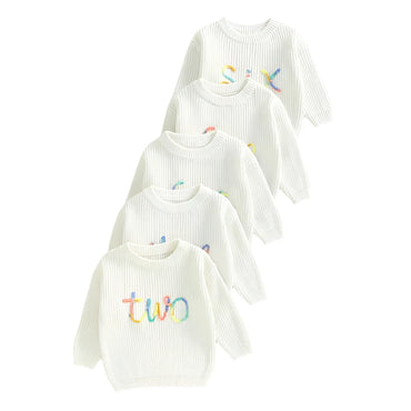 Birthday Rainbow Embroidery Toddler Sweater   