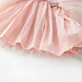 Long Sleeve Tulle Baby Dress   