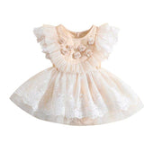 Vintage Lace Baby Dress   