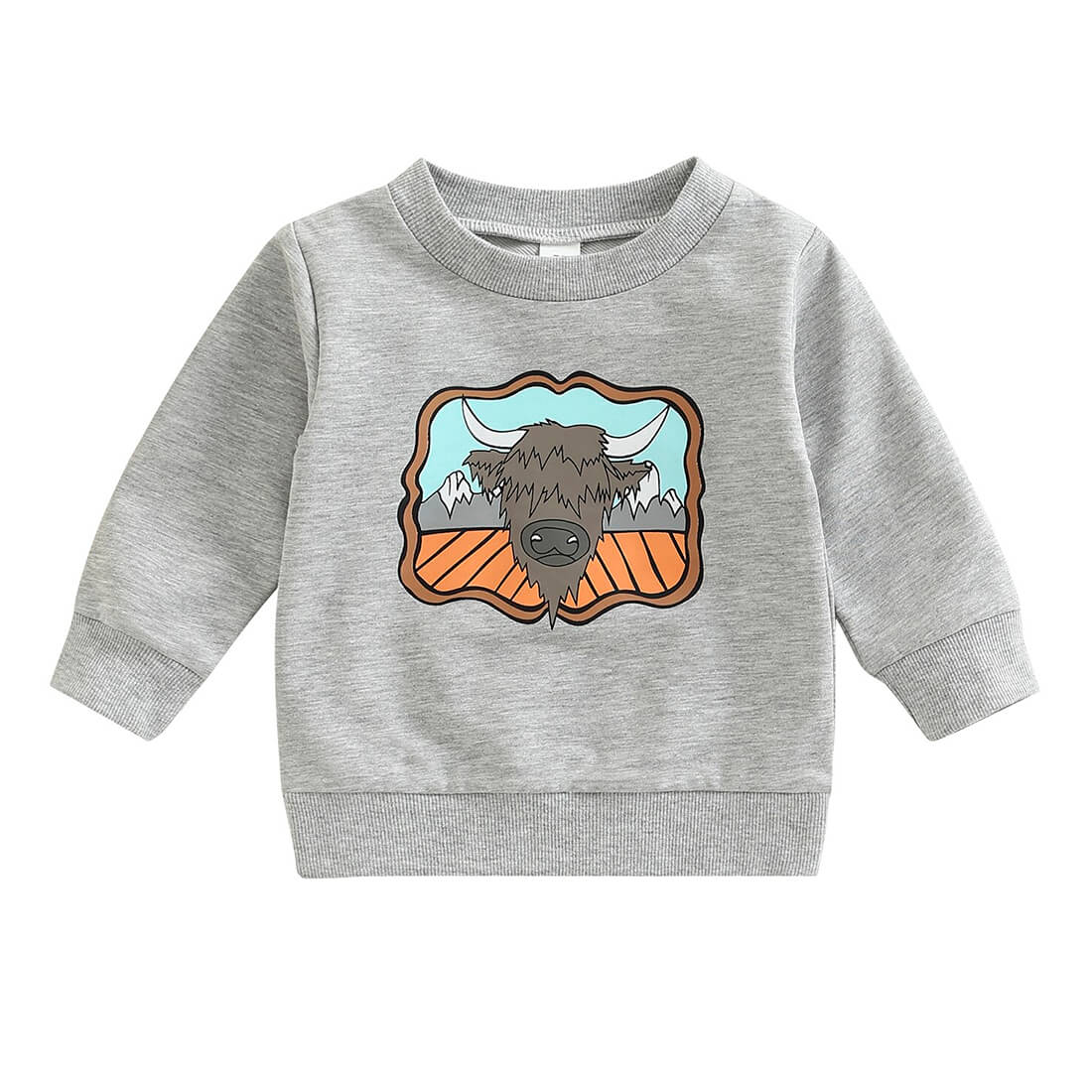Mountain Bull Baby Sweatshirt Gray 3-6 M 
