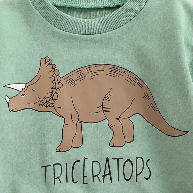 Triceratops Toddler Sweatshirt