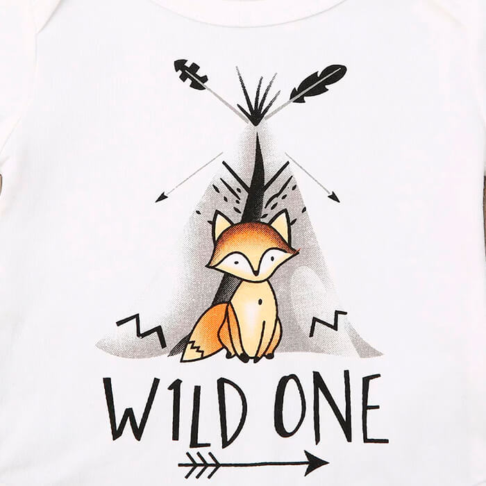 Wild One Fox Baby Set   