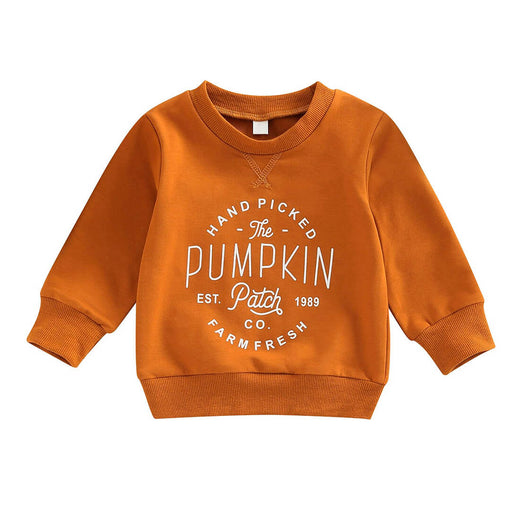 Pumpkin Toddler Sweatshirt   